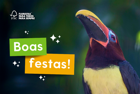 Feliz 2023