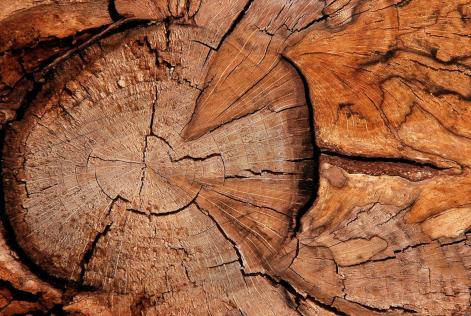 FSC Remedy Framework receives Board approval