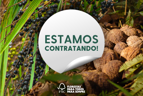 edital estratégia de mercado açaí e castanha
