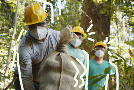 Capacitando pequenos produtores para conformidade com o EUDR por meio da certificação FSC