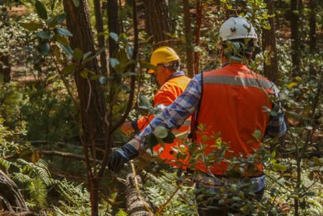 cultural ecosystem services
