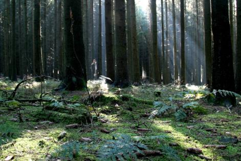 implementação de remediação