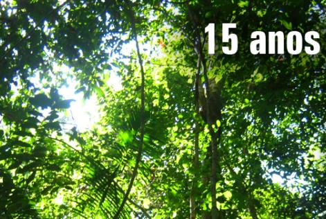 15 anos depois