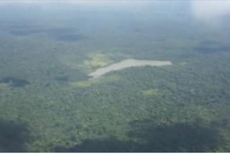 TAA – The Amazon Alternative