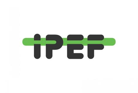 IPEF Noticias