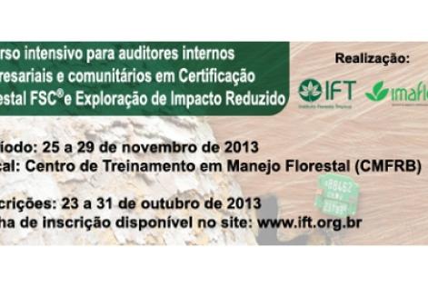 Curso intensivo para auditores internos