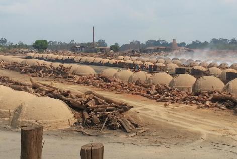 Foto da área de produção de carvão da CKBV