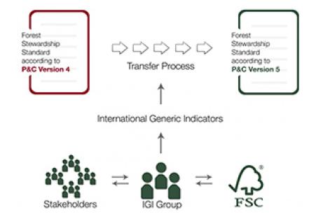 2ª Consulta Pública dos Indicadores Genéricos Internacionais (IGIs)