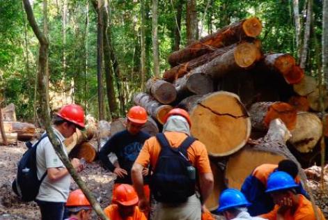 Arimum assina com FSC internacional