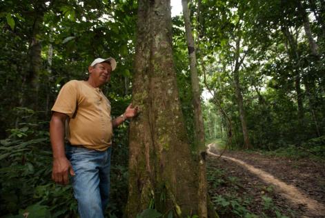 Duda Mendes, um seringueiro da Reserva Cachoeira no Acre, recebeu capacitação para realizar o manejo florestal sustentável.