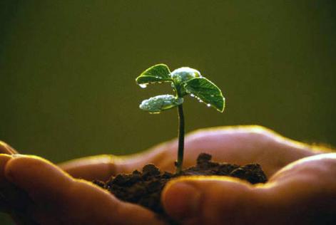 Iniciativa repassa conhecimentos para superar agriculturas que degradam os recursos naturais