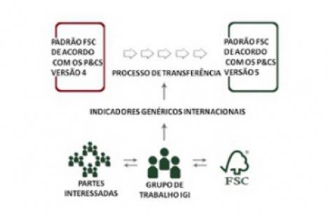 2º Consulta Pública aos IGI