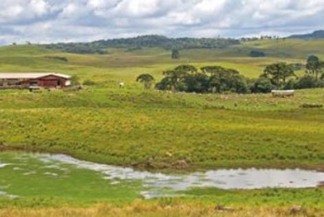 Seminário discutirá uso do fogo no RVS dos Campos de Palmas