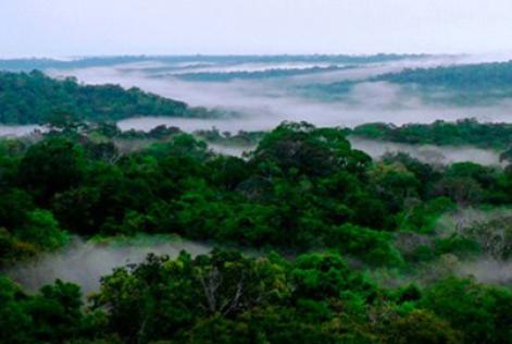 Rondônia