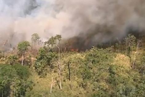 Desmatamento Amazônia