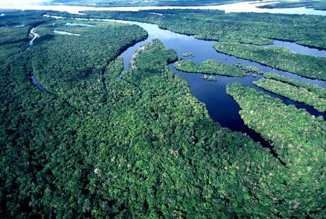 Plano de Manejo do Parque Nacional de Anavilhanas é revisado