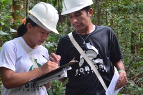 Edital seleciona para Formação em Manejo Florestal Comunitário