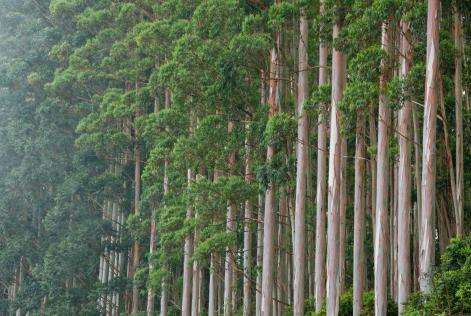 A capacitação dos pequenos produtores como solução sustentável