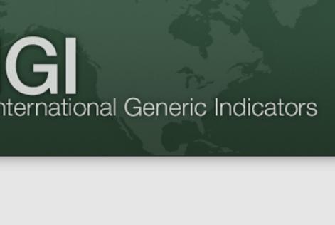 Revisão final IGI e Guia de Escala Intensidade e Risco