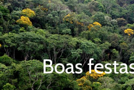 O FSC® Brasil deseja um Feliz Natal e um próspero Ano Novo!