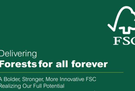 Planejamento Estratégico Global FSC IC -  2015-2020