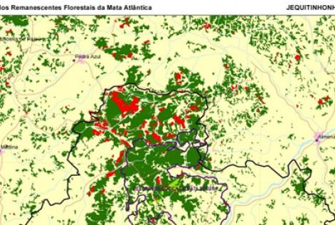 Cidades do Piauí e Minas lideram desmatamento na Mata Atlântica