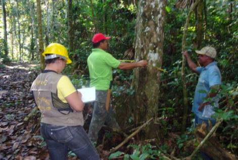 Plano de Manejo Comunitário melhora a vida do morador da floresta