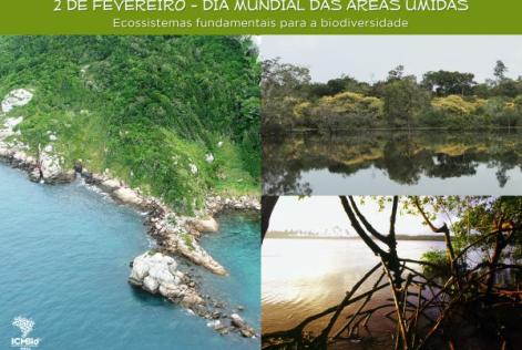 Áreas umidas são essenciais para a biodiversidade