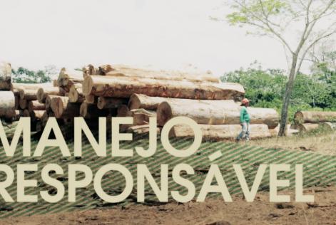 FSC® Brasil lança campanha em vídeo sobre consumo responsável da madeira