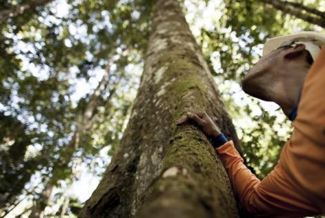 O selo verde garante que o produto respeita rios e nascentes
