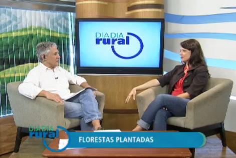 FSC Brasil participa do quadro Conversa Franca do programa Dia Dia Rural