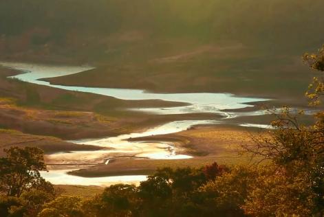 Frente ambientalista discute Código Florestal e a crise hídrica no Brasil