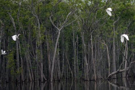 Falta água, falta energia, falta gestão ambiental