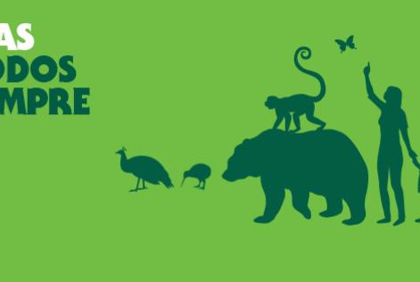 FSC® lança nova marca mundial: Forests For All Forever