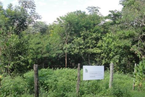 Proprietários de terra são premiados por contribuir na restauração de florestas