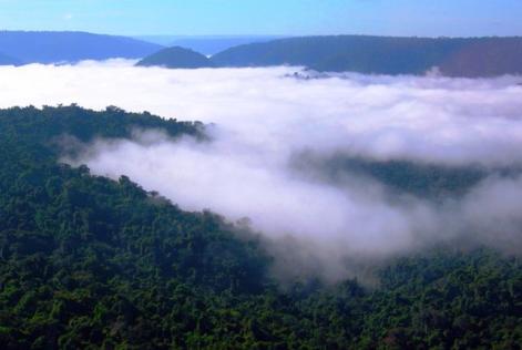 Panorâmica Amazônia