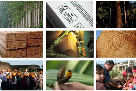 Plano Estratégico Global FSC 2015-2020