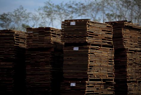 O uso responsável da madeira e as certificações sustentáveis