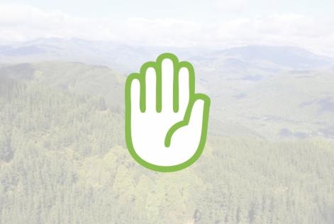 Informe FSC® Brasil - Suspensão de certificados da Jari Florestal
