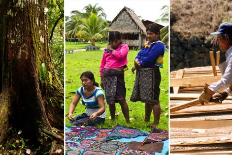 O que significa ser sustentável?