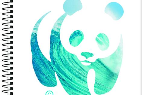 O Panda chega às escolas