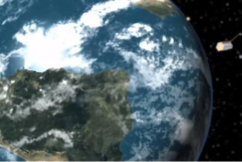 Os satélites da floresta