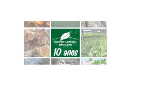 SFB faz 10 anos e se consolida como referência florestal