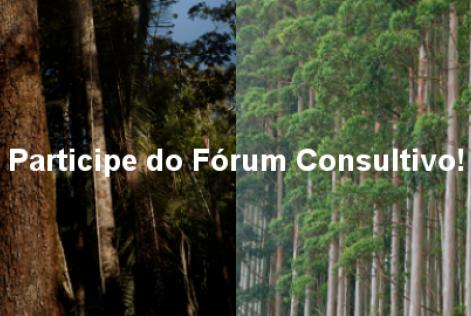 Participe da construção dos novos padrões nacionais do FSC®