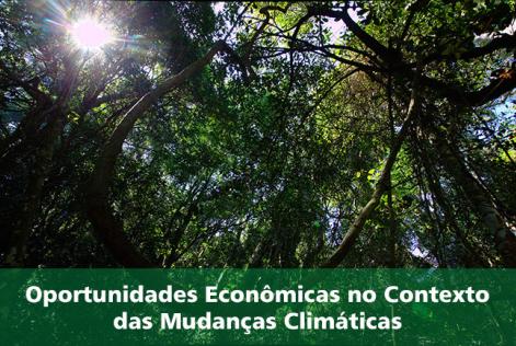 Oportunidades Econômicas no Contexto das Mudanças Climáticas