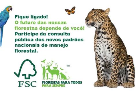 FSC® Brasil promove primeira consulta pública dos novos padrões nacionais de manejo florestal