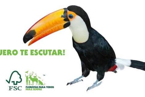 Consulta Pública