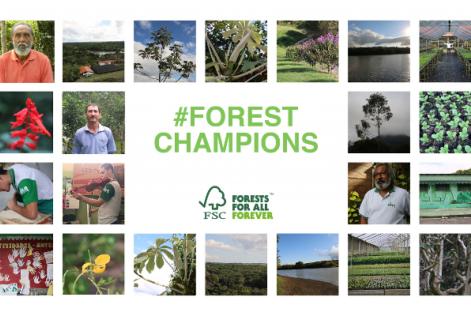 Forestchampions
