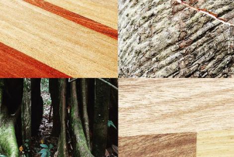 Acre Made in Amazonia
