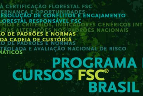 pgm de cursos